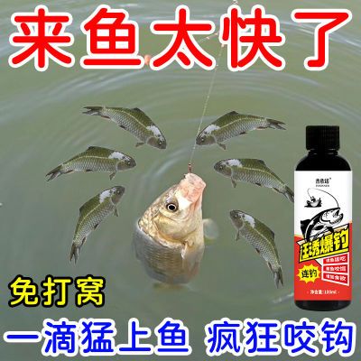 诱鱼剂钓鱼小药黑坑通杀饵料野钓鲫鱼窝料鱼饵添加剂草鱼鲤鱼通用