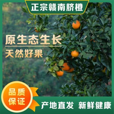 橙子新鲜脐橙新鲜应季水果超甜整箱批发薄皮非果冻橙冰糖橙赣南的