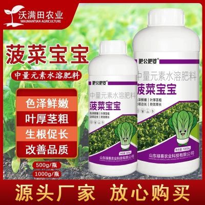 正品菠菜宝宝叶菜提苗壮根色泽鲜嫩叶厚茎粗增强口感增产肥厂家