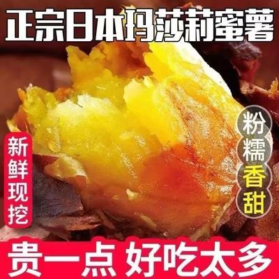 正宗玛莎薯沙地新鲜地瓜香甜糖心山东进口黄心红薯黄金番薯榴莲蜜