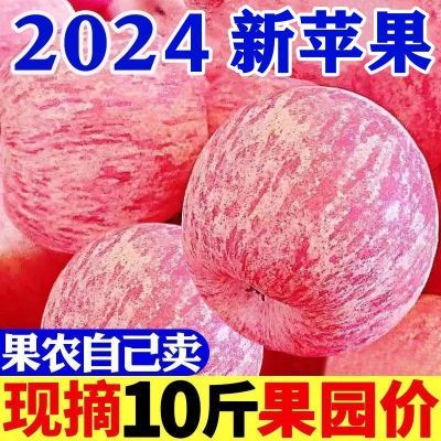 【爆甜】陕西红富士苹果新鲜脆甜现摘水果孕妇冰糖心平果整箱批发