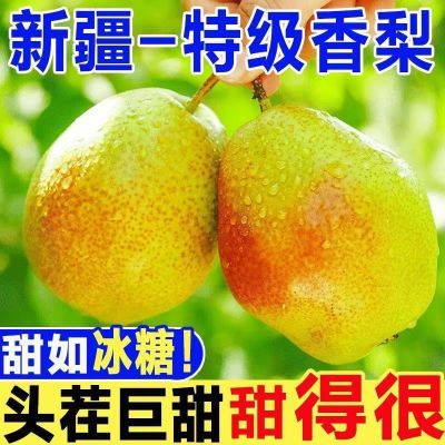 【新货新鲜现发】正宗新疆库尔勒香梨无渣甜新鲜时令当季水果现摘