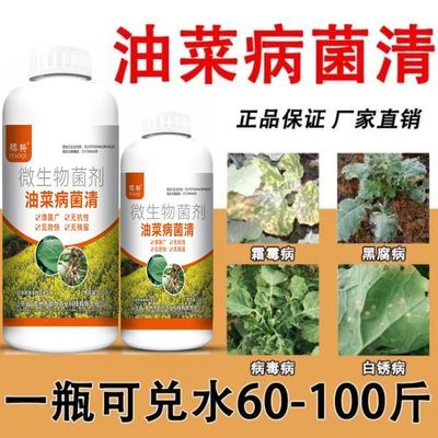 油菜专用杀菌油菜专用药菌核病霜霉病黄叶炭疽病有机质肥料