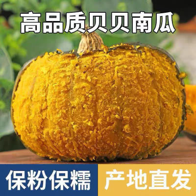 百亿补贴：【酷麦奇】正宗贝贝南瓜正宗板栗味粉糯香甜小老南瓜婴儿宝宝食用 10.6元