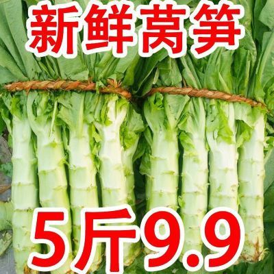 【万人抢购】现货莴笋新鲜上市莴笋批发蔬菜新鲜当季莴苣时令蔬菜