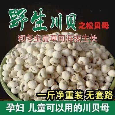 川贝母特级止咳川贝批发川贝粉雪梨膏川贝枇杷膏原料非松贝母特级