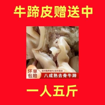 【现杀】去筋去骨牛蹄皮新鲜清真商用火锅食材半成品熟食牛肉类