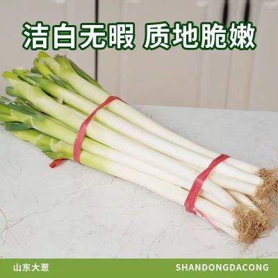 正宗山东大葱葱白葱段铁杆新鲜现挖去皮特级香葱批发农家绿色蔬菜