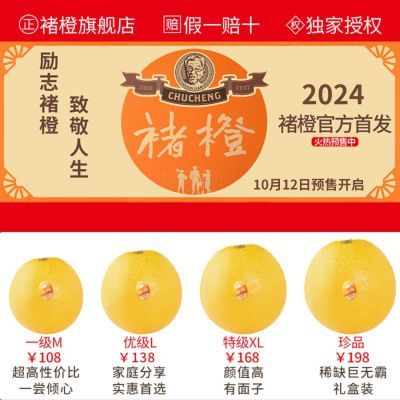 云南褚橙褚时健励志橙 2024新鲜水果冰糖橙礼盒装10斤5k