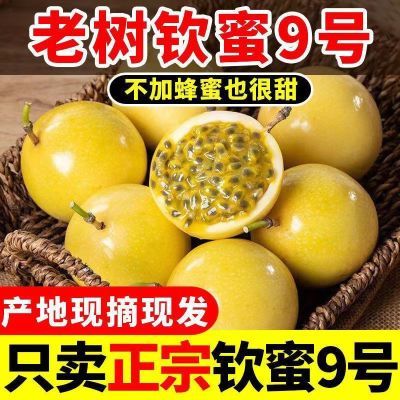 【S+级】黄金百香果纯甜钦蜜9号大果新鲜水果批发彩箱礼盒鸡蛋果