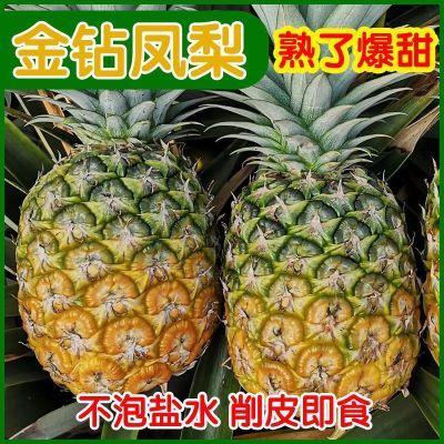 金钻凤梨9斤精选树上熟当季热带新鲜水果非海南菠萝整箱风梨大果