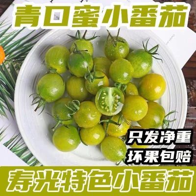 寿光青口蜜千禧贝贝小番茄酸甜口不添加防腐剂黄绿色圣女果顺丰