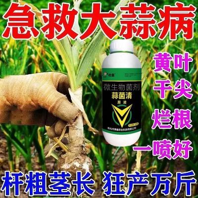 蒜菌清原液大蒜种植专用杀菌剂抑制真菌细菌土传病害有机通用型