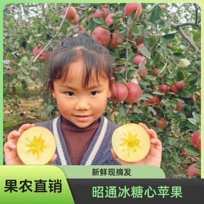 云南昭通丑苹果苹果孕妇小孩均可食用纯天然不打蜡富士大果