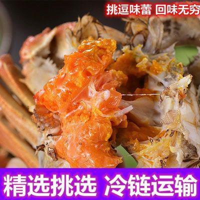 现货江苏大闸蟹清仓公母特大鲜活6-12只公母搭配正宗阳澄湖镇发