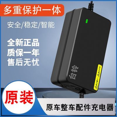 台铃电动电瓶车充电器48v60V64伏72付12ah20AH