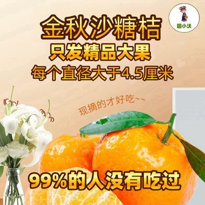 【圆小沃】正宗金秋砂糖桔精选甜蜜蜜大果砂糖橘沙糖桔