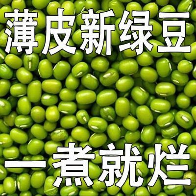 绿豆新货东北农家批发解暑绿豆粥糕饼绿豆汤材料豆芽五谷杂粮新鲜