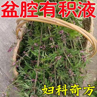 妇科奇方】盆腔有积液分泌物多月经不调白带多发黄异味瘙痒小腹痛