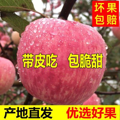 【2024年新摘】正宗冰糖心丑苹果水果新鲜当季水果批发苹果红富士