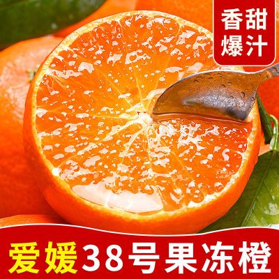 【现货】正宗爱媛38号果冻橙子四川新鲜当季水果薄皮