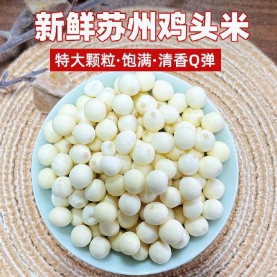 正宗苏州新鲜鸡头米去皮芡实一级食用无添加无硫大颗粒2024