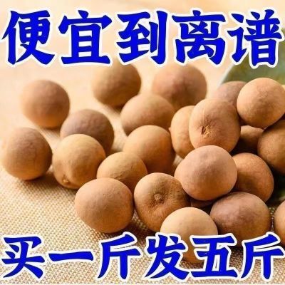 【24新货】莆田桂圆干龙眼干核小肉厚非无核桂圆干多规格干货批