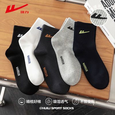 ���ڲ��������������п��ﶬ������Ǵ�������������ʿ��Ͳ���˶��־����� 8.81Ԫ