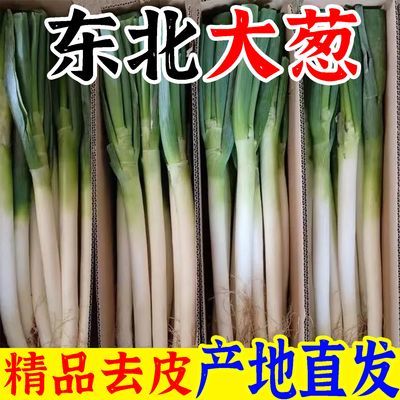 东北大葱正宗长杆大白杆大葱现挖现发品质保证新鲜蔬菜