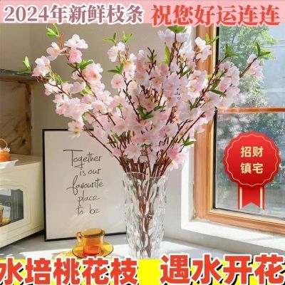 【带花苞发货】正品新年装饰桃花枝遇水开花冬季水培真桃花室内