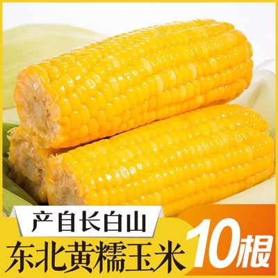 黄糯玉米【长白山众品源】220克X10 自有农场0添加非即食非转