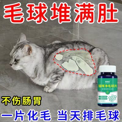 正品化毛球片猫咪专用毛球克星温和化毛云杉冻干磨牙零食调肠胃