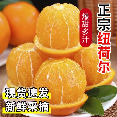 【彩箱精品】正宗宜昌纽荷尔脐橙应季新鲜橙子大果整箱批发