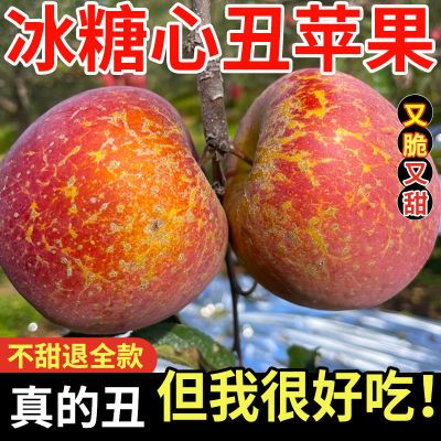 2024新鲜大凉山丑苹果5 斤冰糖心苹果水果当季整箱盐源四川红富士