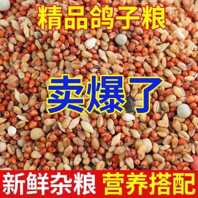 批发当季精品鸽料鸽子粮混合饲料无玉米鸽粮豌豆高粱斑鸠鸟类粮食