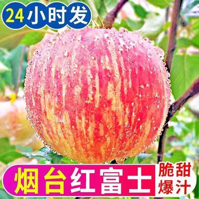 山东烟台红富士苹果水果新鲜应当季栖霞丑萍果整箱3斤冰糖心包邮