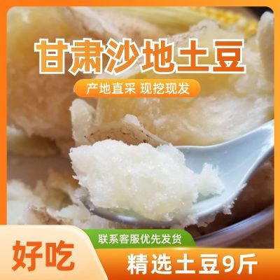 甘肃定西土豆马铃薯洋芋新挖鲜黄皮白心武威民勤自种沙面非转基因