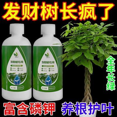 发财树专用肥营养剂营养液花肥料室内盆栽植物金钱树花卉绿植喷施