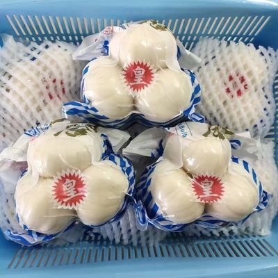 兰州百合新鲜当季食品500克三袋一斤一包三颗甘肃特产