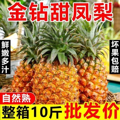 【爆甜】金钻凤梨新鲜应季水果手撕无眼大菠萝一整箱批发应季水果