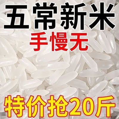 【新米特惠】东北五常大米颗粒饱满厂家批发当季新米长粒香