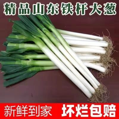 山东安丘铁杆大葱新鲜5斤10斤毛葱蔬菜蘸酱卷饼辛辣脆爽小葱包