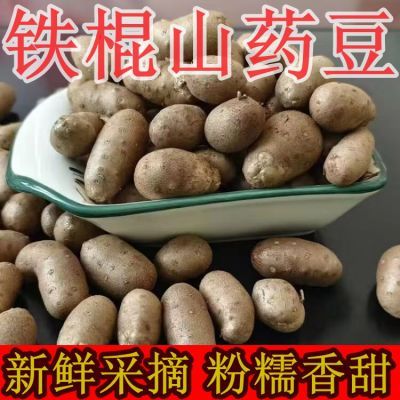 正宗河南铁棍山药豆农家自种天然山药豆大果特大软糯香甜秋冬滋补