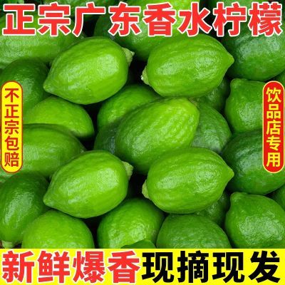 正宗广东香水柠檬新鲜当季无籽皮薄青柠檬整箱奶茶店专用皮包邮