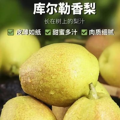 正宗新疆库尔勒香梨新鲜薄皮当季青皮