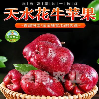 正宗特级花牛蛇果5/10斤粉面苹果沙面新鲜蛇果当季大果苹果整箱