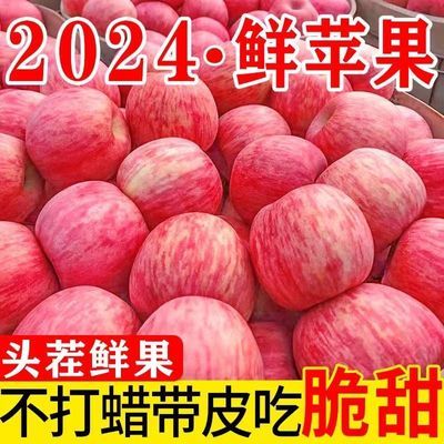 【新货新果】正宗红富士苹果爆款大果新鲜当季冰糖心苹果一整箱