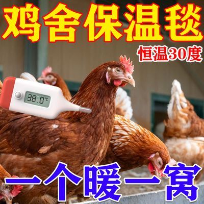 鸡窝保暖母鸡下蛋用鸡舍喂鸡屋鸡下蛋窝家用鸡生蛋产蛋窝保暖毯