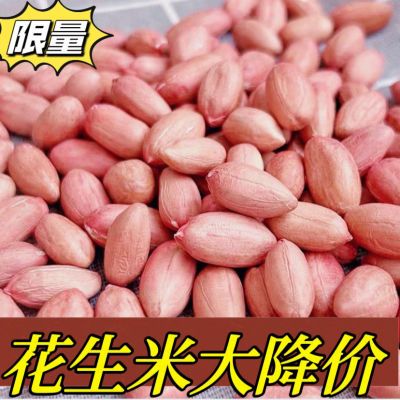 24年现剥新花生米精选大颗粒粉皮新鲜花生榨油种大粒白沙速食低卡