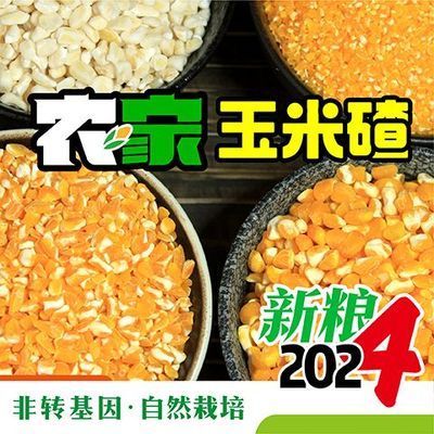 2024正宗东北大碴子不粘去皮非转基因玉米碴子袋装食用农家笨碴